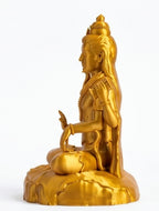 DOURADO